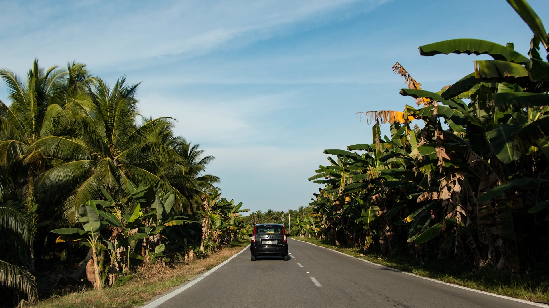 The car drives through Hawaii