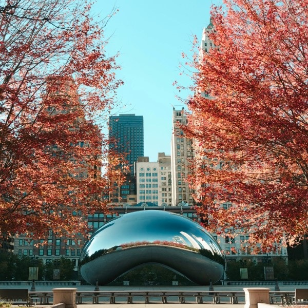 IL CITY CHICAGO Custom